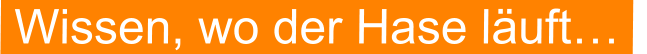 Wissen, wo der Hase läuft…